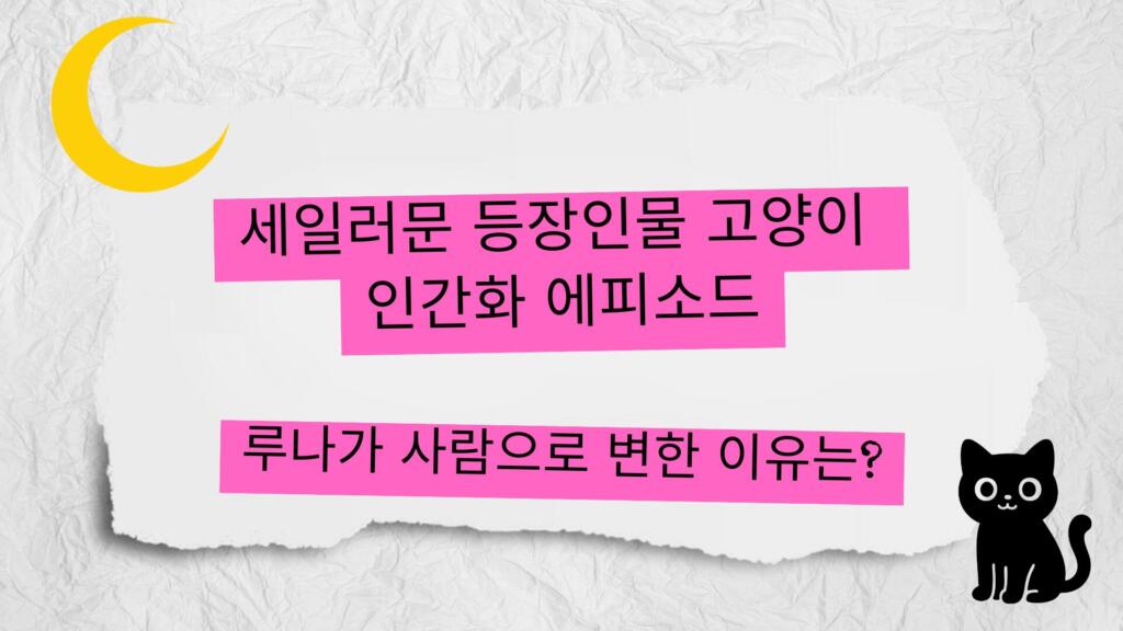 세일러문 등장인물 고양이 인간화 에피소드 – 루나가 사람으로 변한 이유는?